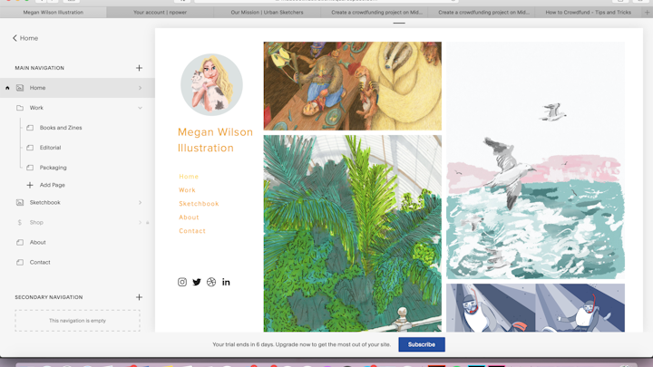 Illustration Online Shop and Website