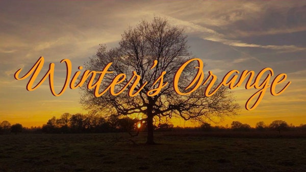 Project Image Thumbnail