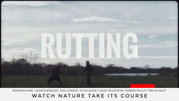 Project Image Thumbnail