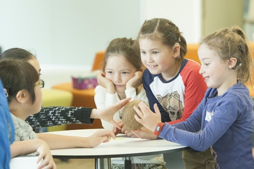 Project Image Thumbnail