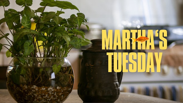 Project Image Thumbnail